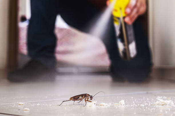 Insect Control in Brookdale, NJ